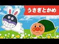 【子どもの歌】「うさぎとかめ 🐢🐇」アンパンマンといっしょに歌って踊ろう！たのしい童謡・キッズソング✨