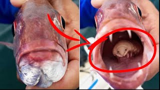 كائنات غريبة تعيش في فم الأسماك