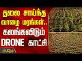BananaTrees | Cyclone Winds | Crop Damage | தலை சாய்ந்த வாழை மரங்கள்.. கலங்கவிடும் DRONE காட்சி