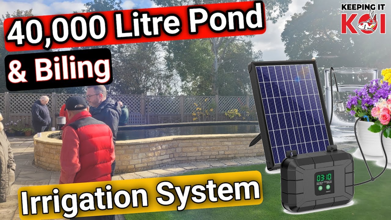 Пруд с карпами кои емкостью 40 000 литров и ирригационная система