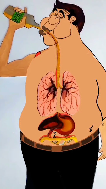 What does drinks do to your body(3D Animation)#shorts _Side effects of Beer