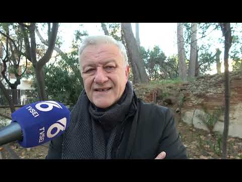 Influenza, diversi i