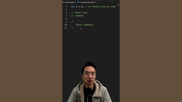 C++ Comments