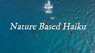 Year 9 Nature Haiku