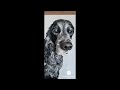 Drawing Ella the Cocker Spaniel's Cute Nose 🐶