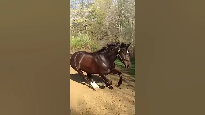Arroyo and Deb being silly in the ring 2017 spring