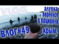 Алупка / Кацивели #Влог #игнатсолошенко 49