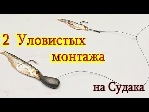 2 Уловистых монтажа для ловли судака на ТЮЛЬКУ