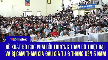 Đề xuất bỏ cọc phải bồi thường toàn bộ thiệt hại và bị cấm tham gia đấu giá từ 6 tháng đến 5 năm