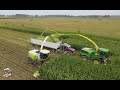 3 Choppers Filling 1 Truck - Corn Silage Harvest