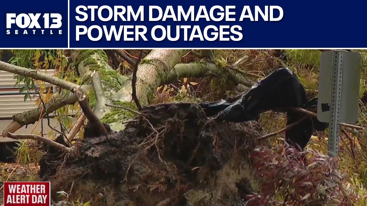 High winds and rain knock out power for thousands around western ...