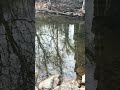 In my quest for bass trout was the only thing everyone was catching