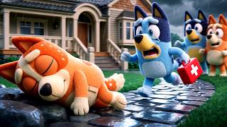 😭 Oh No...! What Happened to Bingo?! | Bluey Funny Animation