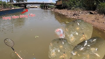 Mon Men Ra Họng Vàm Sông Tiền Nơi Thứ Dữ Ở Đó | Kích Cá Miền Tây | Catch Fish