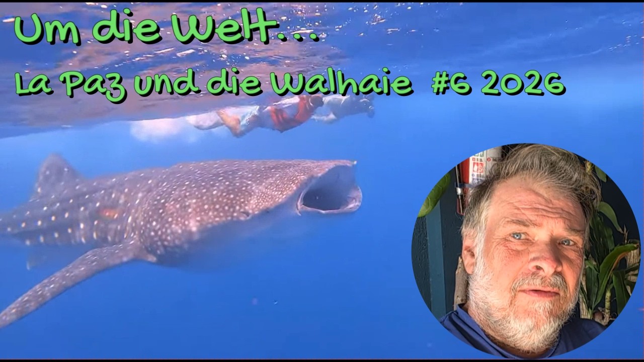 ⁣La Paz und die Walhaie... Um die Welt...  #6 2026