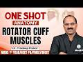Abduction at The Shoulder Joint | Anatomy | MBBS 1st Year | INICET | FMGE | NEET PG | Dr Pradeep Sir