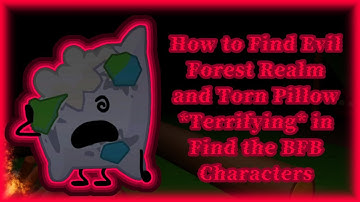 How to Get to the Evil Forest Realm and Find Torn Pillow in Find The BFB Characters [814]