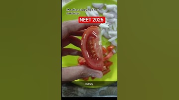 Neet 2026 aspirants after studying 😍⚠️👀#neet#neet2026#mbbs#viral#trending#insta#shorts