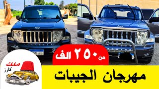 مهرجان سيارات الجيب انواع و اشكال فبريكا من اول 250 الف