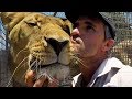 Do Lions Like Catnip? #AskMeg | The Lion Whisperer