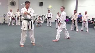 KUMITE DRILLS:  Footwork and Fitness