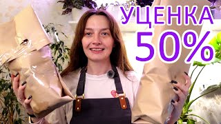 видео: УЦЕНКА 50% из Лемана про. Будни цветовода. Распаковка и пересадка. Посадка семян различных Кактусов картинка: УЦЕНКА 50% из Лемана про. Будни цветовода. Распаковка и пересадка. Посадка семян различных Кактусов