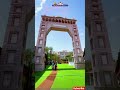 duniya Se Main Hara #trending #shyam #love #shyamkripa #premanandjipravachan #radheshyam #hindisong