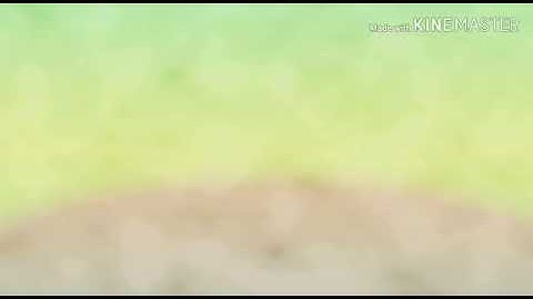 ماتيسر من سوره المؤمنون تلاوه جميله للقارئ عبدالله