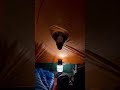 TRAPPED: Grizzly Bear Rips Through Tent While We’re Inside! 😱🐻