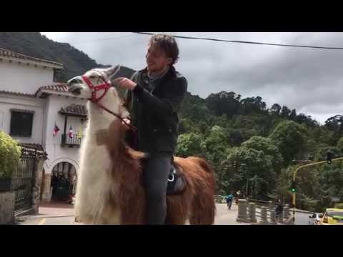 Riding a Lama