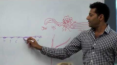 The Role of the Xi Cleft Points In Musculoskeletal Treatment
