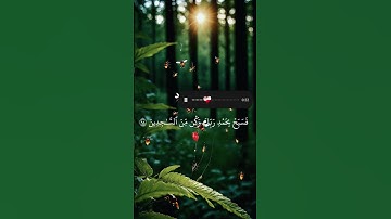 ولقد نعلم أنك يضيق صدرك بما يقولون #آيات #المصحف #اكسبلور #راحة_نفسية #لايك