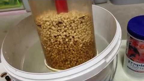 Best Biopellets by Far Tropic Marin NP BACTO review