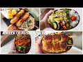[A WEEK OF HUSBAND BENTOS  #6] by wife