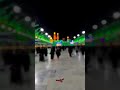 غلام سیاه امام حسین ع امام حسین غلام سید الشهدا غریب مجنون مجنون الحسین