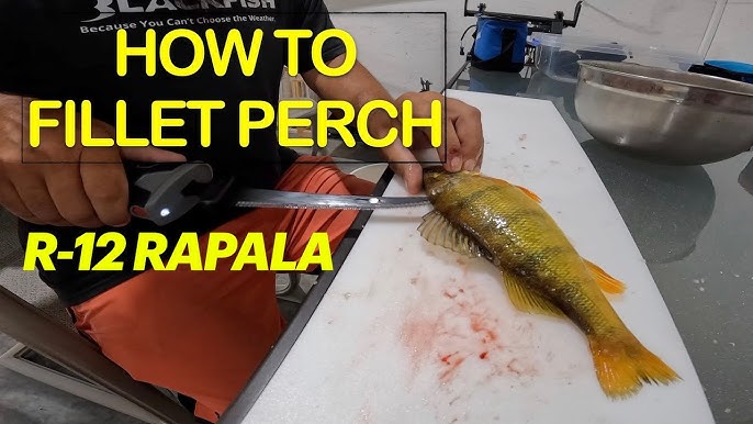 Heavy-Duty Electric Fillet Knife by Rapala at Fleet Farm