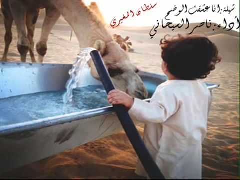 شيلة انا عشقت الوضح أداء ناصر السيحاني 2014