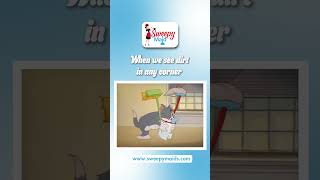Spotless Living | Professional Home Cleaning Service in Victoria| Sweepy Maids Spotless Living | Professional Home Cleaning Service in Victoria| Sweepy Maids