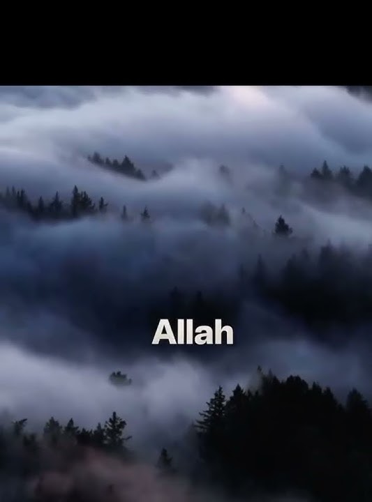 Ingin Sukses Sejati? Ingatlah Allah & Ucapkan Astaghfirullah Setiap Hari 🤲 #astaghfirullah #viralvideo #like