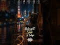 Midnight Rain & Sax 🎷 Tokyo Coffee Jazz