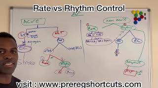 Rate vs Rhythm Control (Cardioversion) (EXPLAINED)