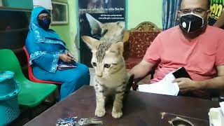 Dr. Sagir's Pet Clinic ( ডাঃ সাগীর'স পেট ক্লিনিক), ঢাকা II Dr. Sagir's Pet Clinic 01912251312 by Vet Dr. Sagir Uddin Ahmed 20 views 2 days ago 32 seconds