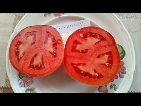 Video: Carp Dengan Pulut Tomat