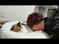 日曜日が終わってしまったので猫と酒を飲む配信