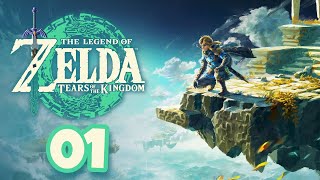 🔴The Legend Of Zelda: Tears Of The Kingdom Playthrough!🔴(Road To 510 Subs!)