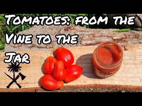 How to Make Tomato Sauce from Backyard Tomatoes: Pizza Sauce