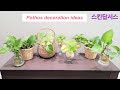 Indoor decoration ideas with hydroponic Pothos (Money Plant) // How to grow Pothos in water