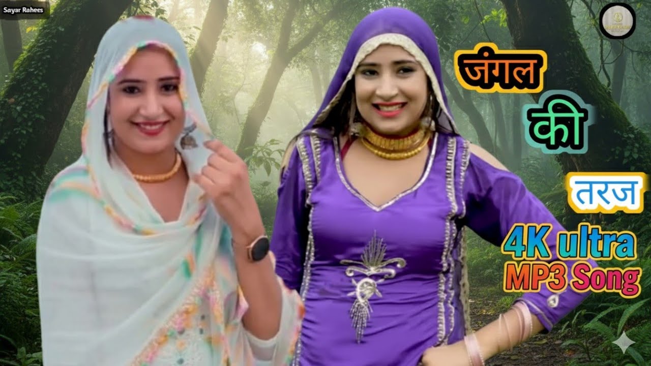 जंगल की तर्ज  #mewati #rajasthanivideo #viral #reels#trending #shorts #rajasthani #sayarrahees 