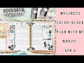 WELLNESS PLAN WITH ME/ COLOR BLOCK LAYOUT/ MARCH 29- APRIL 4