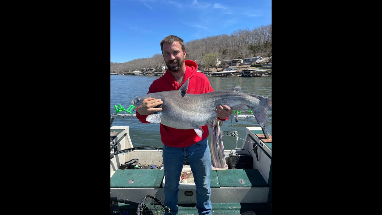 Trolling for Blue Catfish on Lake of the Ozark featuring Paul Copas